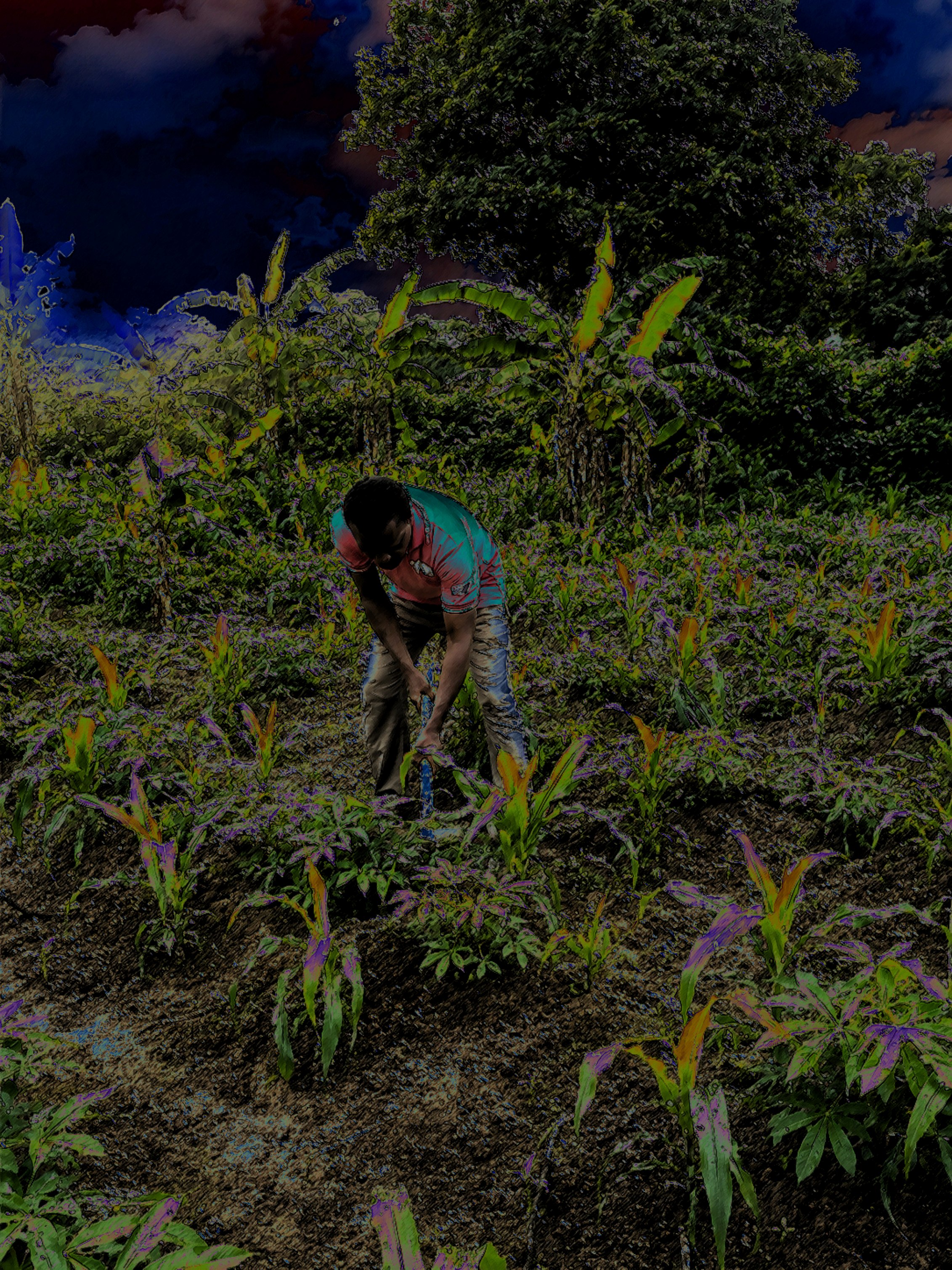 Harvest of Hope by Joyce Aranuwa