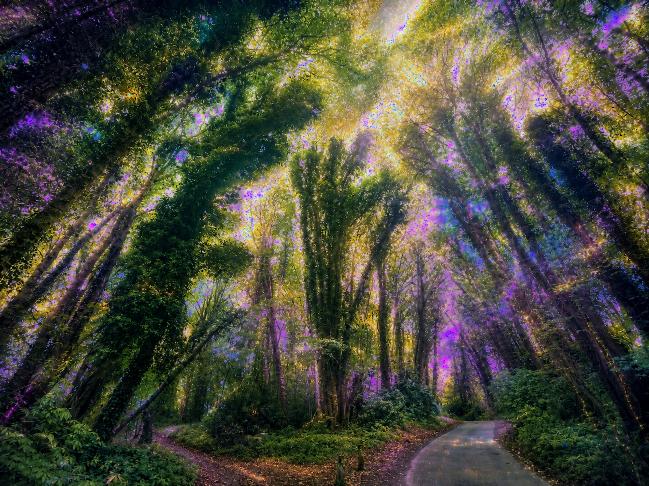 Nature's Abundance collection