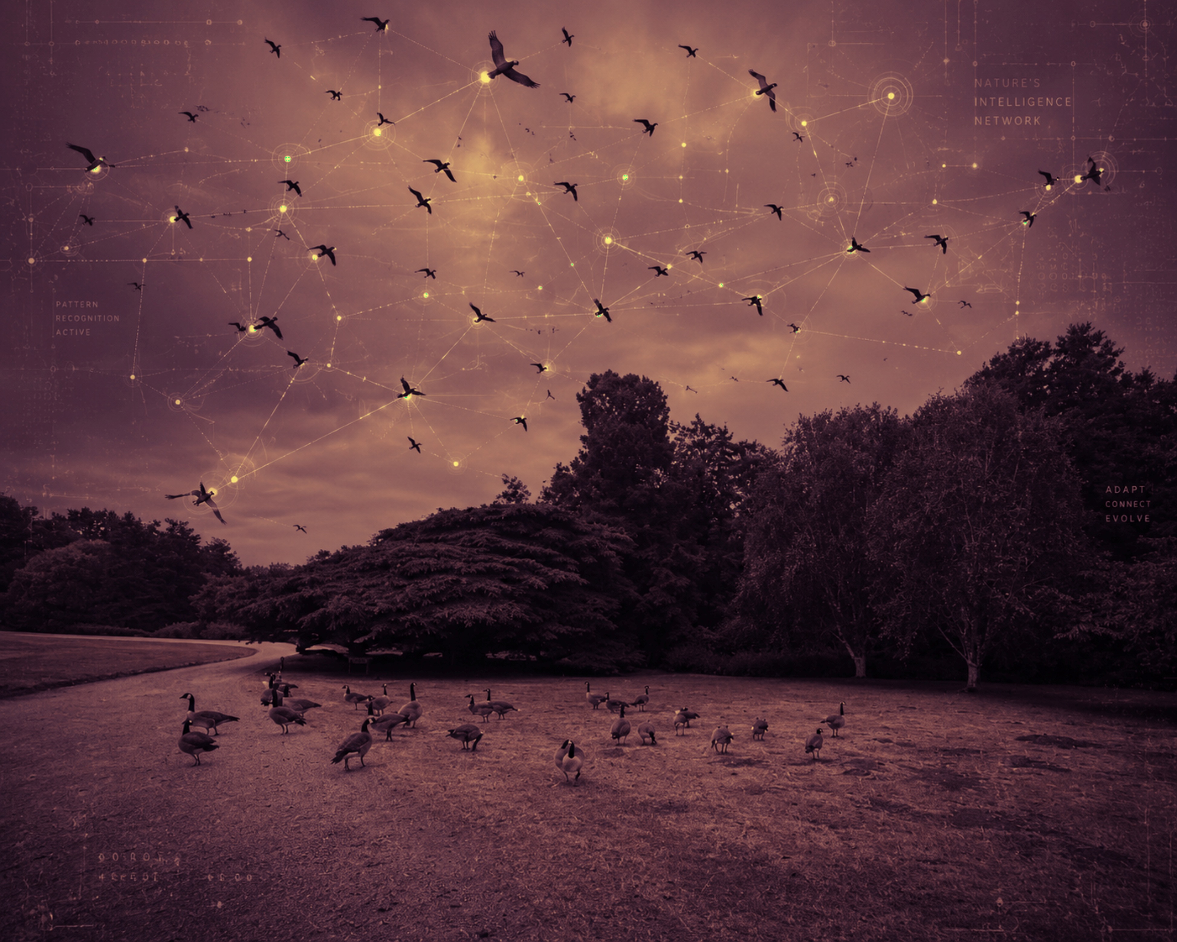 Neural Flock by Joyce Aranuwa