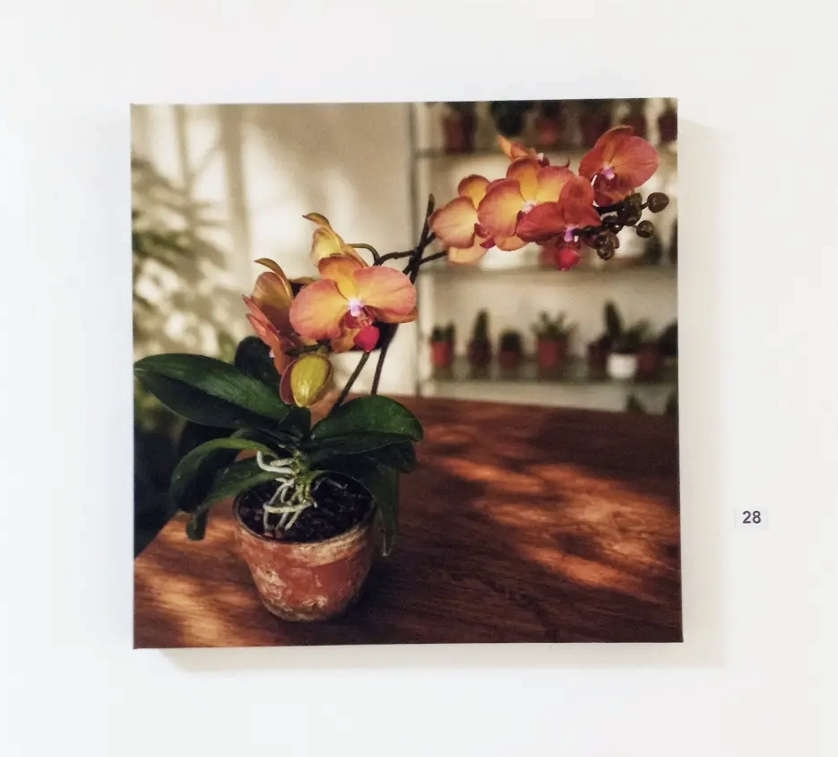 Summer Exhibition documentation